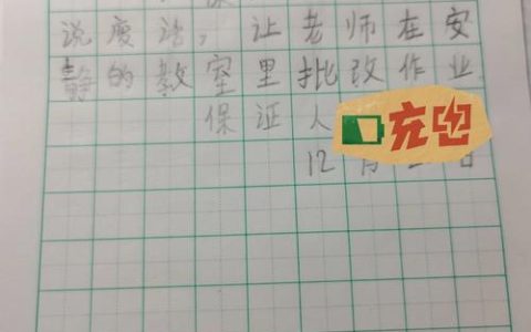 儿童保证书：教育意义与法律效力辨析