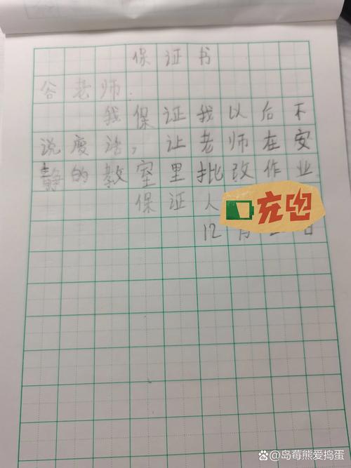 儿童保证书：教育意义与法律效力辨析