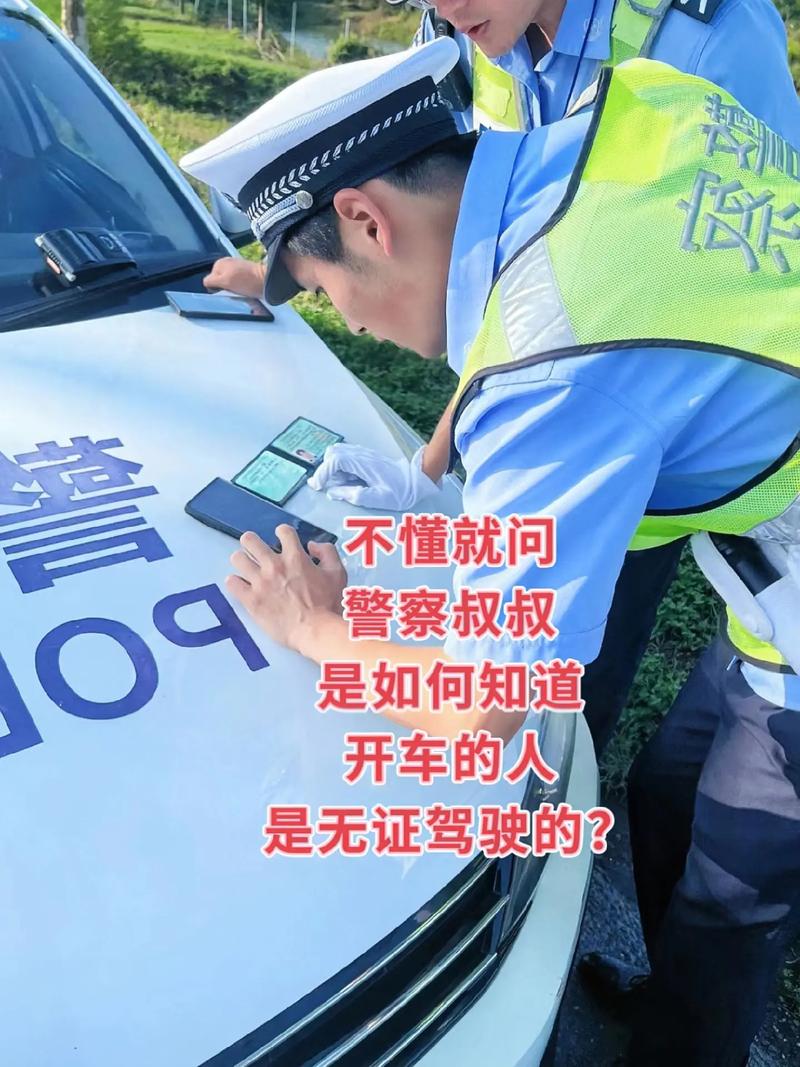 匿名举报无证驾驶：途径、证据与法律责任