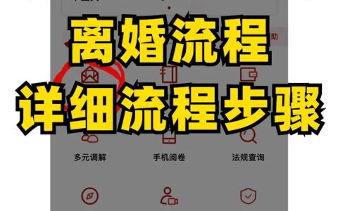 婚姻十字路口：协议与诉讼离婚全流程解析