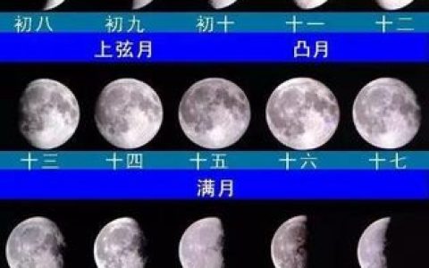 超速罚单处理时限与方法全解，避免额外损失