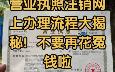 个体户执照网上注销：时长、流程与关键点