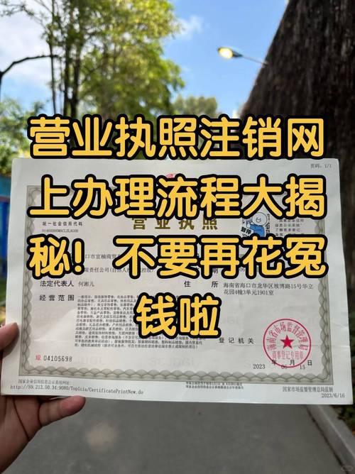个体户执照网上注销：时长、流程与关键点
