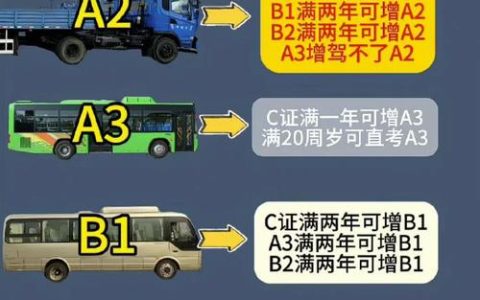 C1D驾照升级B2：条件流程全解读