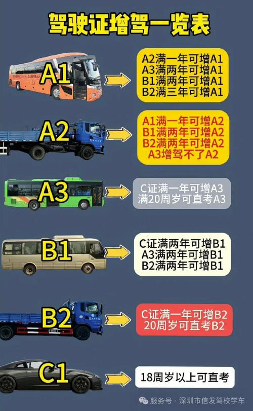 C1D驾照升级B2：条件流程全解读