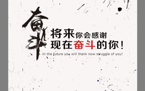 拍违章领奖金：合法途径与潜在风险深度剖析
