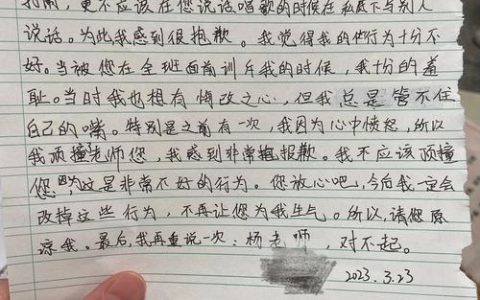 认错保证书的深层解读与规范撰写指南