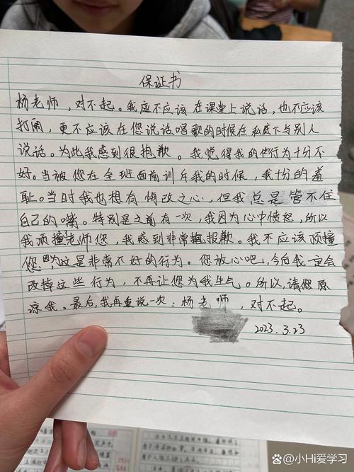 认错保证书的深层解读与规范撰写指南