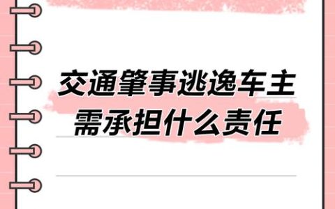 肇事逃逸：是否必然承担事故全部责任？