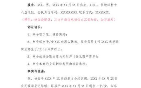 男士离婚诉讼指南：从困惑到明晰的法律之路