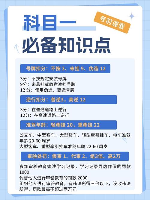 开车玩手机扣分罚款全解析与安全建议