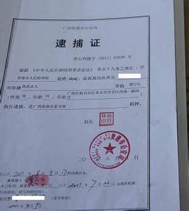 刑事犯罪的认定：构成要件到法律后果