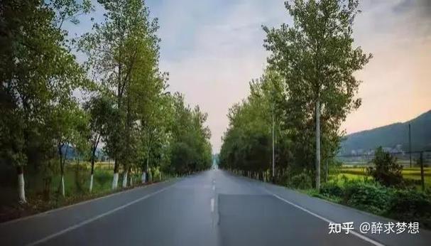 限速四十公里路段，究竟超速多少才会被罚？