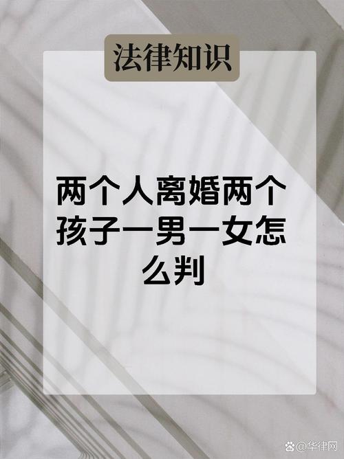 双子女离婚抚养权：法院考量与实务指引
