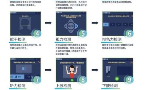 驾驶证线上换领体检解惑：流程与注意事项