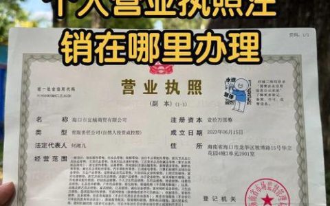 个体户执照注销全攻略：避坑指南与实操详解