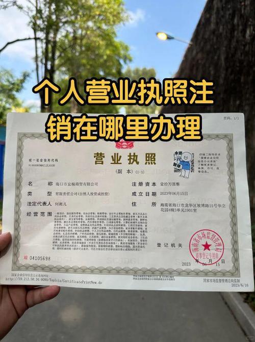 个体户执照注销全攻略：避坑指南与实操详解