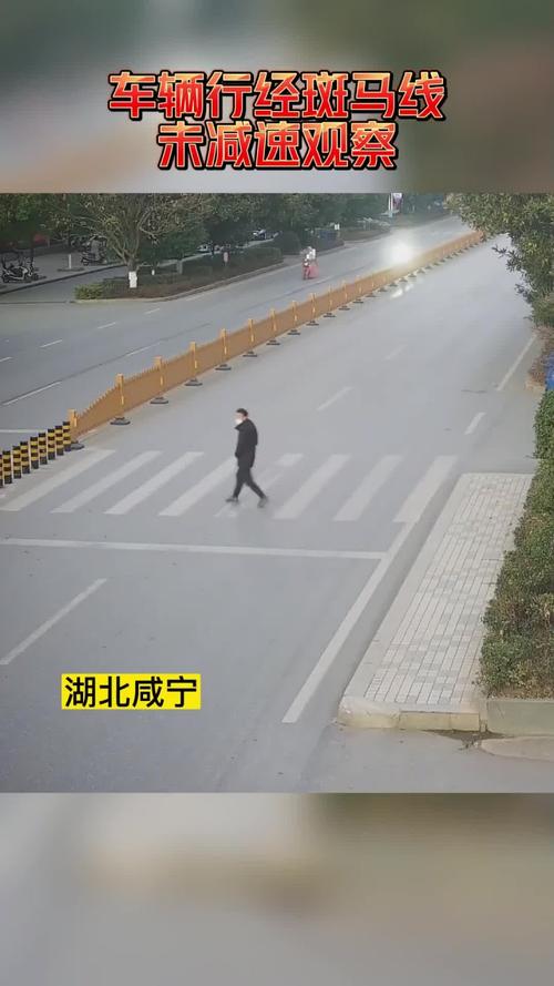 斑马线通行铁律：无人亦须减速礼让