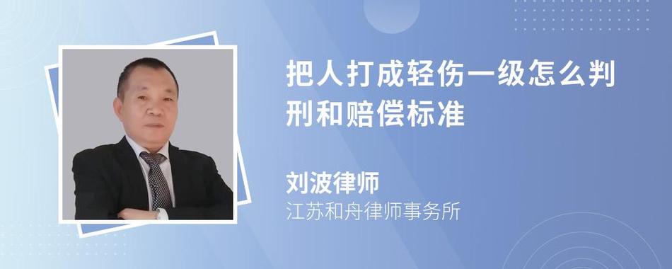轻伤害的法律边界：刑事责任与民事赔偿深度解析