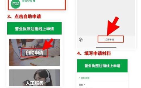 营业执照网上注销：流程与要点解析