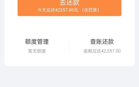 信用记录不佳也能借款的平台解析