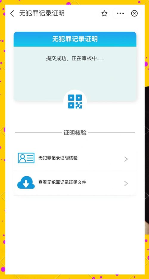 无犯罪记录证明开具：流程材料与常见问题