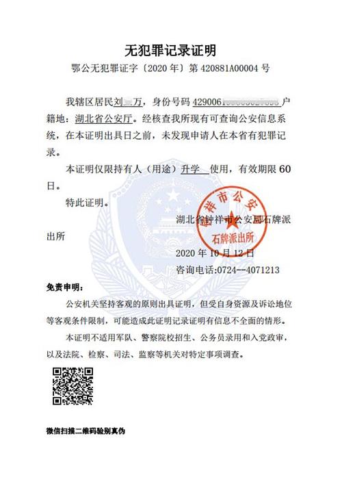 无犯罪记录证明办理全攻略解析