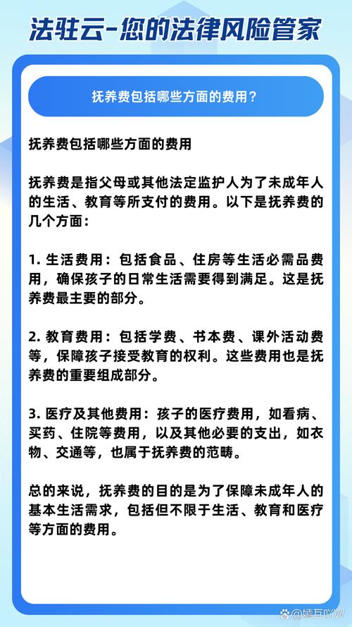 抚养费标准解析：计算与调整全攻略