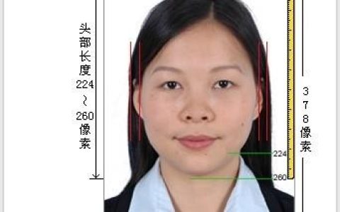 驾照申领年龄新动向：规定解读与未来展望