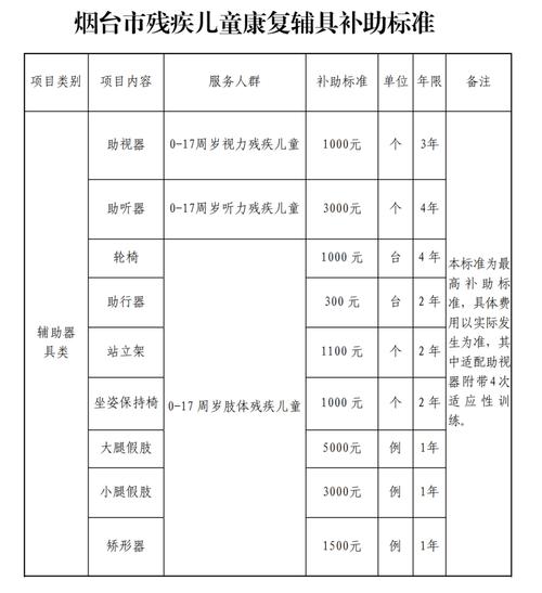 二级残疾证：可申领的补贴与实用指南