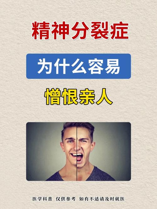 二级精神病严重程度解析与应对
