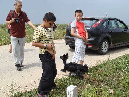 对方坚决不同意离婚，难道就真的没办法了吗