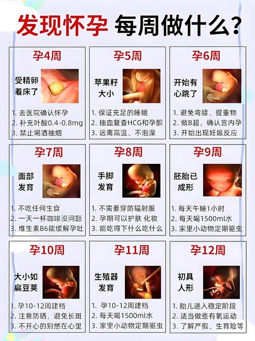 结婚后多久怀孕才算正常范围