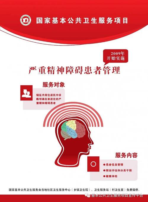 精神卫生法核心内容解析与应用