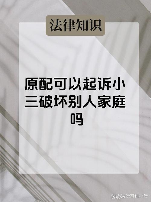 如何依法处理第三者破坏家庭问题